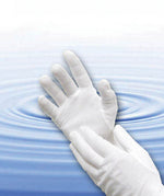 Bulk Cotton Gloves - White Large Bx/12 pr